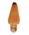 Mixed Cone Shell NIGHTLIGHTS