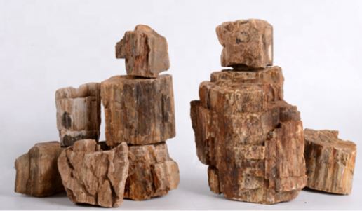 Petrified Wood Aquarium Rock 10–30cm | Natural Aquascaping Stone (Per lb)