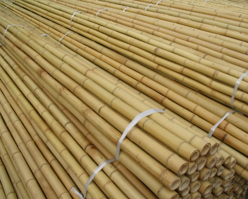 Bamboo Sticks 10' x 33 to 35 mm (25 per bundle sold by the each)