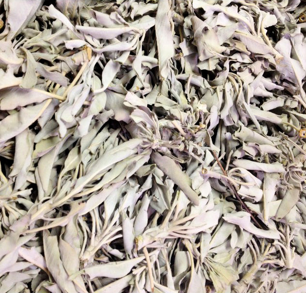WHITE Sage Leaves - 1 lb Bag Sage Smudge Supplies
