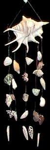 FULL LAMBIS SHELL CHIME