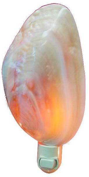 POLISHED WATER VCLAM NIGHTLIGHT