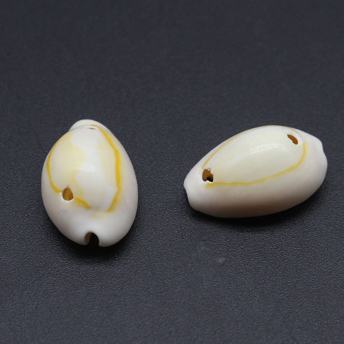 CYPRAEA ANNULUS with 2 holes - 19x13x9mm (500 grms. 650 pcs) - Yellow Cowry Cowrie Shells - Philippines