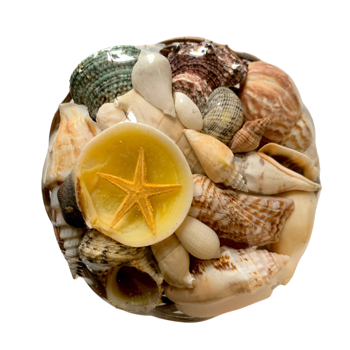 BASKET SHELL PACK - 5 inch - W/ASSTD COLOR STARFISH