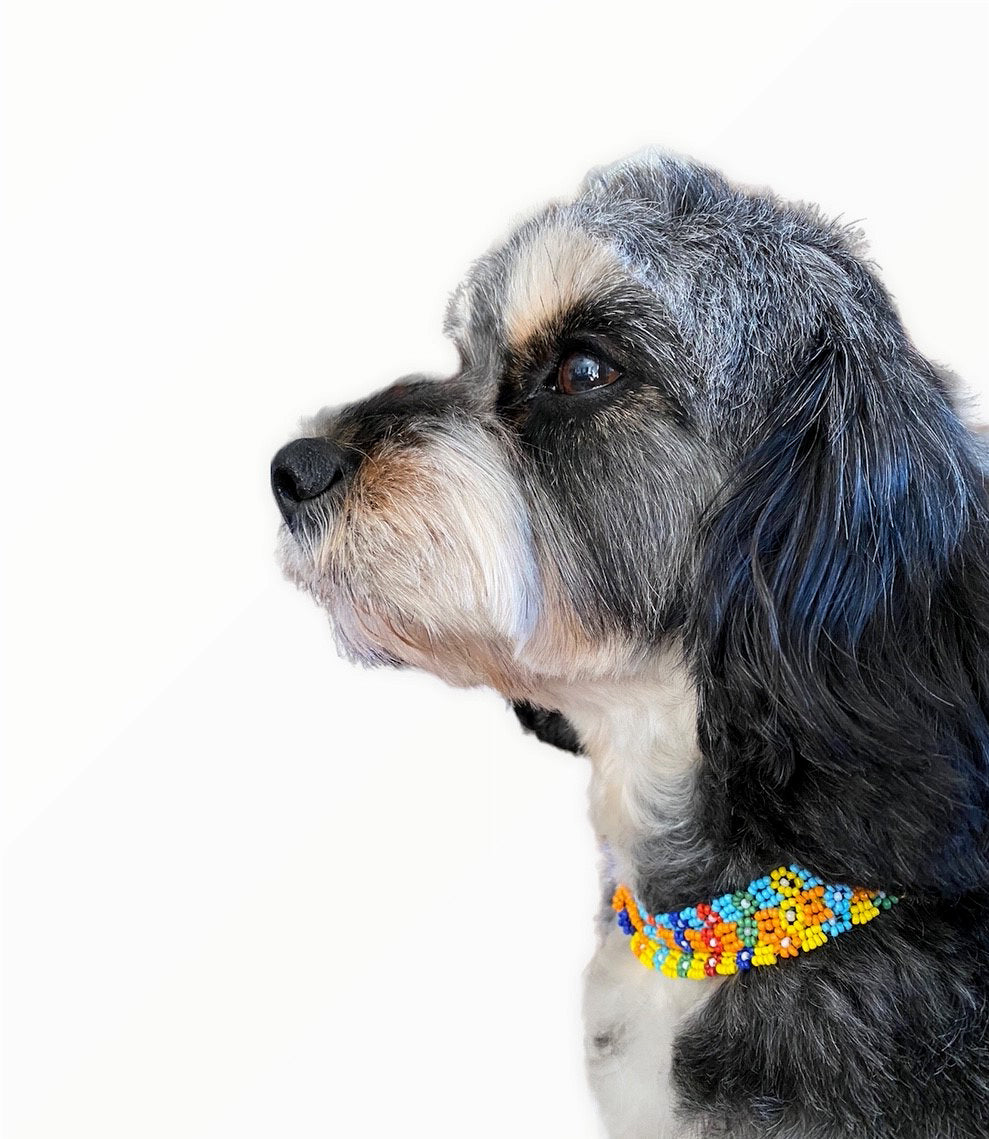 15 inch MULTI COLORED BEAD NECKLACE Sky