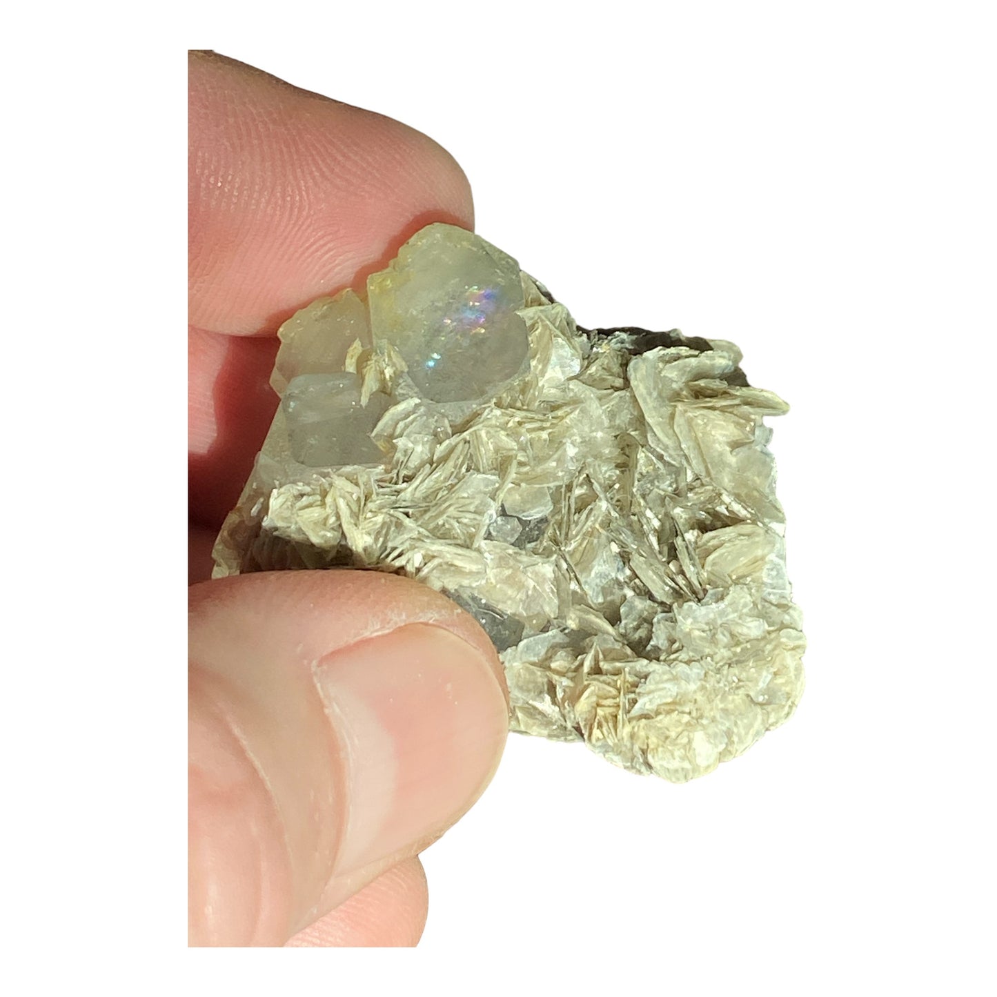 CRYSTAL REQUEST - Aquamarine with Muscovite Mica matrix SPECIMENS A - 25-80mm - Pakistan - Price by Quality (Make note of id# and put in order comments) NEW224