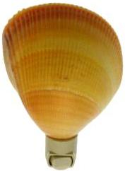 CARDIUM YELLOW NIGHTLIGHT