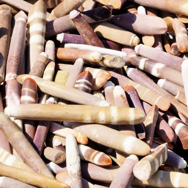 1 KG - Slate Urchin Spines - 0.75 - 1.75 inches - Philippines