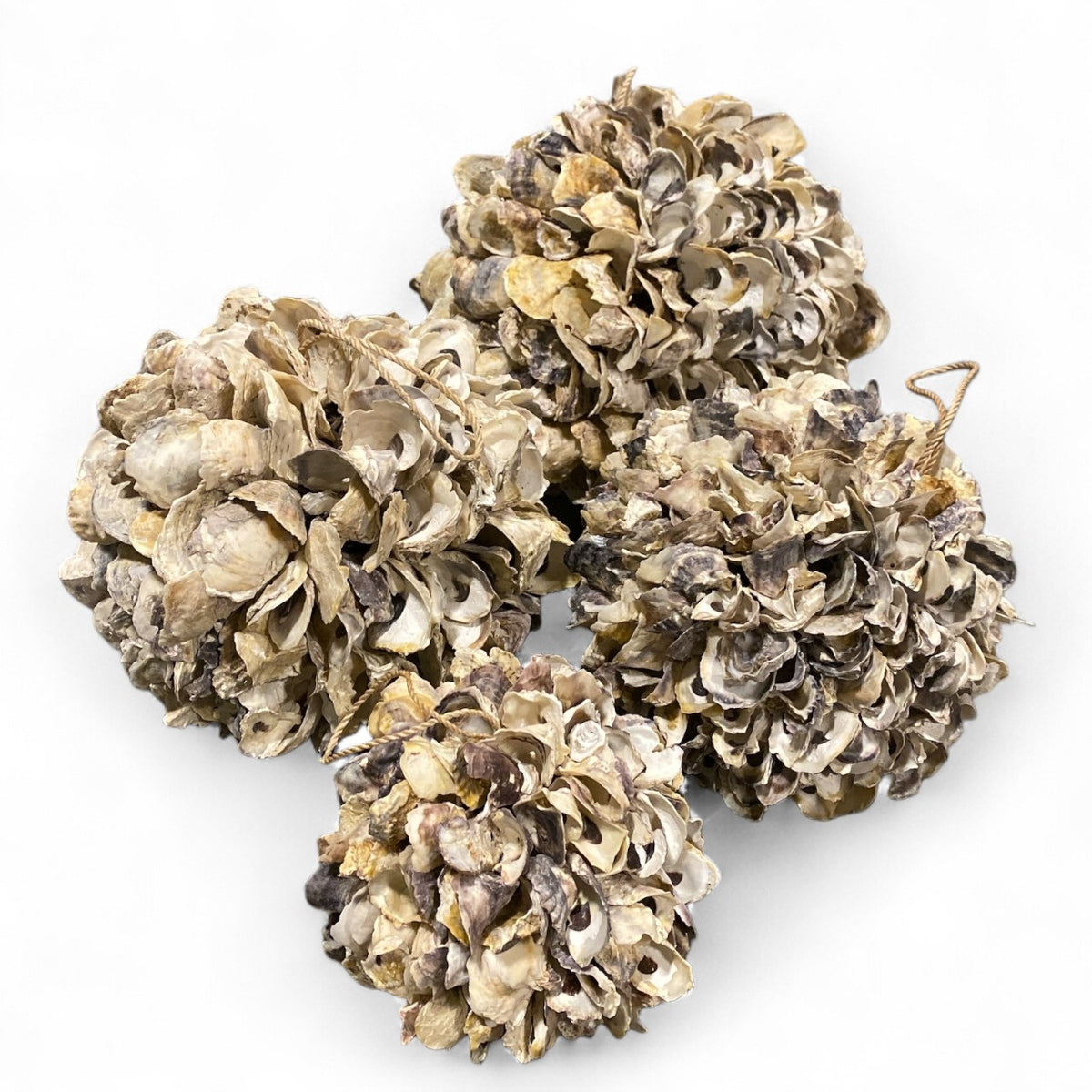 Talaba OYSTER SHELL DECO BALL with Rope Holder - 8 inch - Philippines