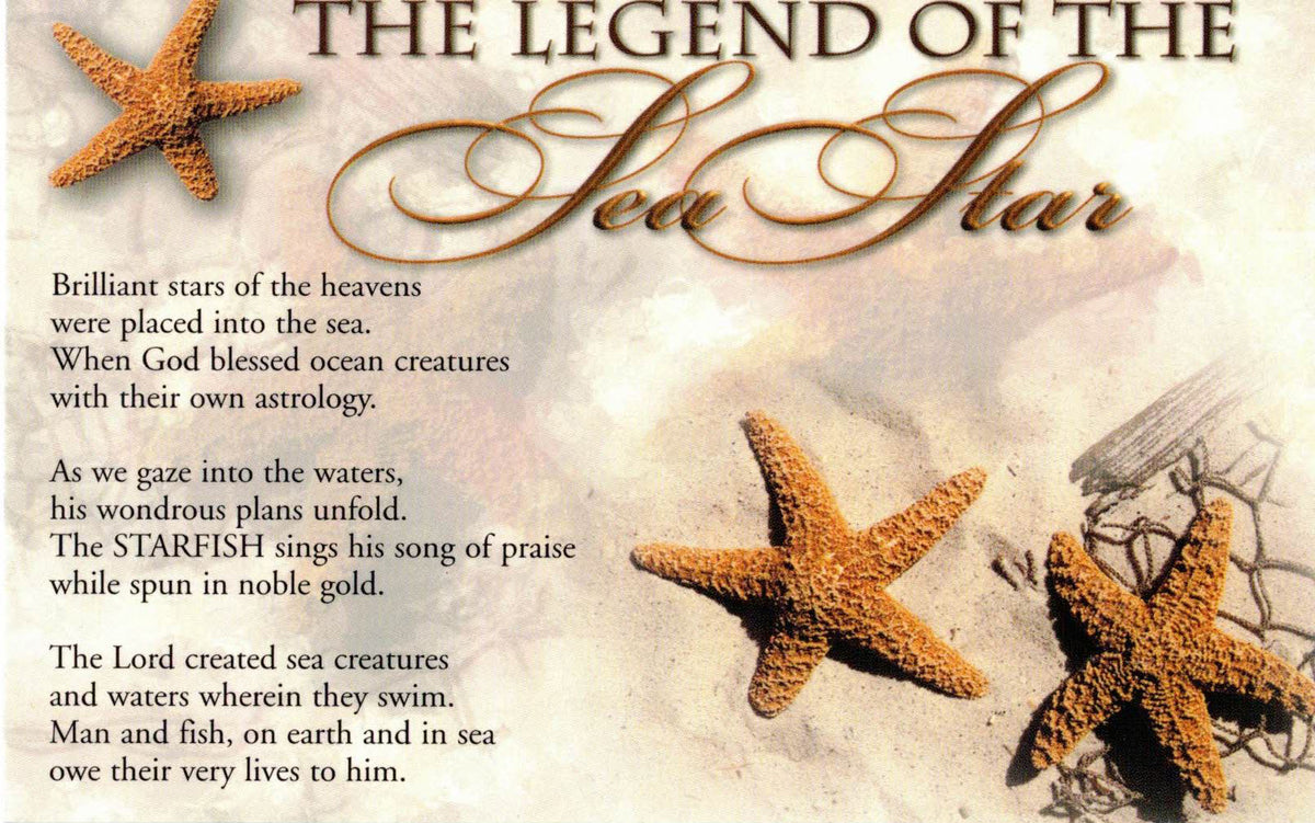 Jungle Starfish (Pentaceraster Mammillatus) – 2 to 3 Inches – With Legend Postcard