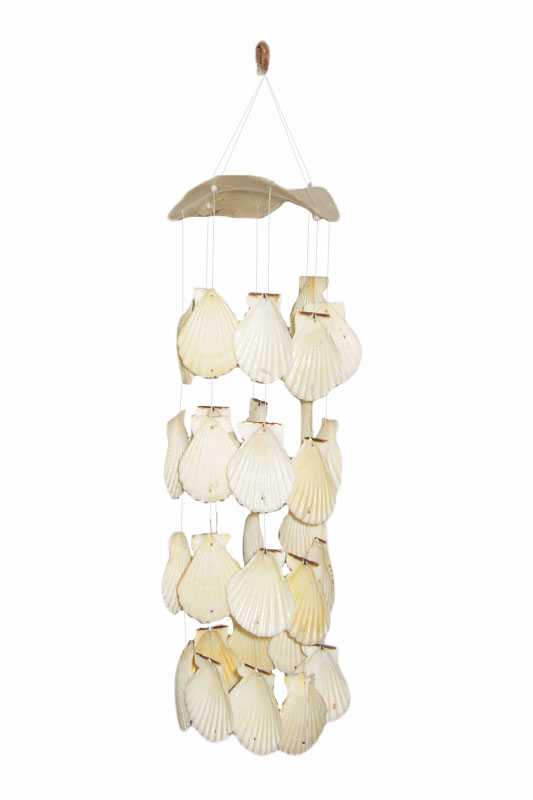 Saddle & Radula Scallop Shell Chime 5 dia. x 16 Inch long
