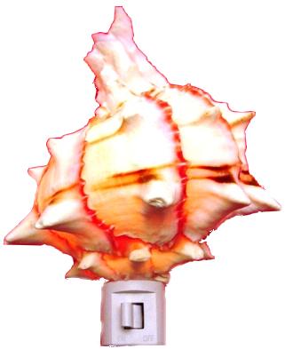 MUREX BRASSICA NIGHTLIGHT