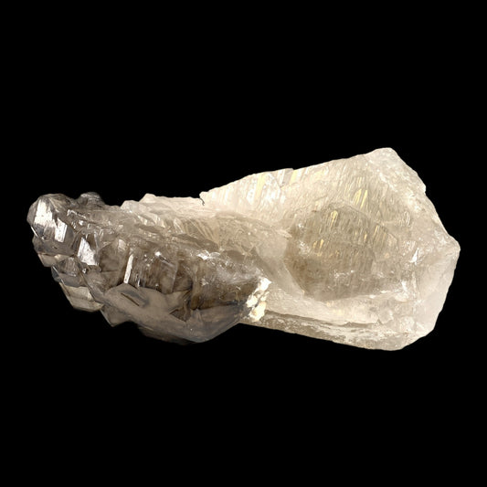 #1 Elestial Smoky Quartz Crystal - 1310g - 8.5 x 4 x 3.5 inch - Specimen 1 - NEW622