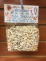 Wonders Of The Sea - Nassa Pyrene Shells
