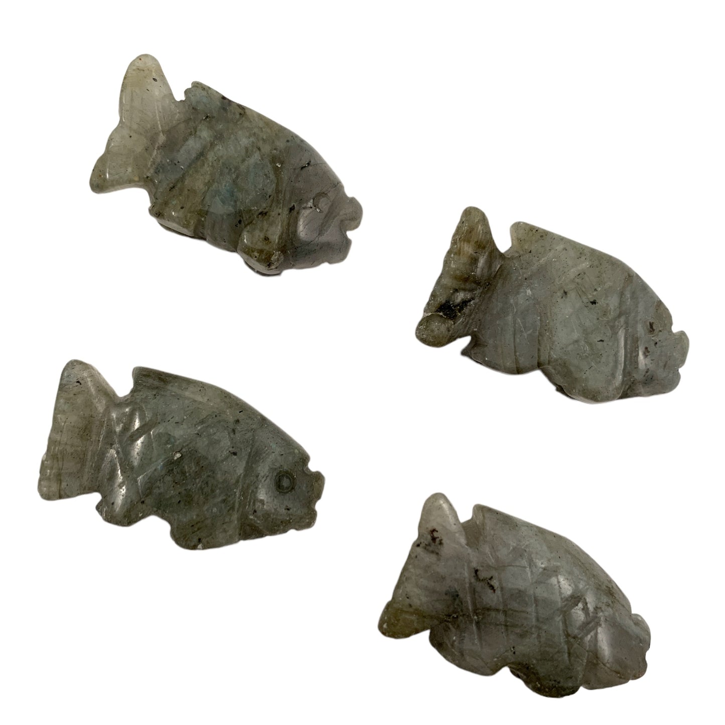 Fish - Labradorite - Baby - 25mm - NEW1022