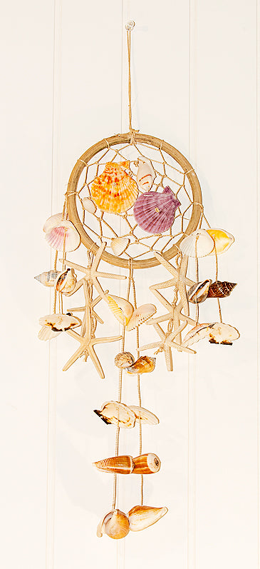 DREAM-CATCHER with STARFISH & DRIFTWOOD 6 inch Ring