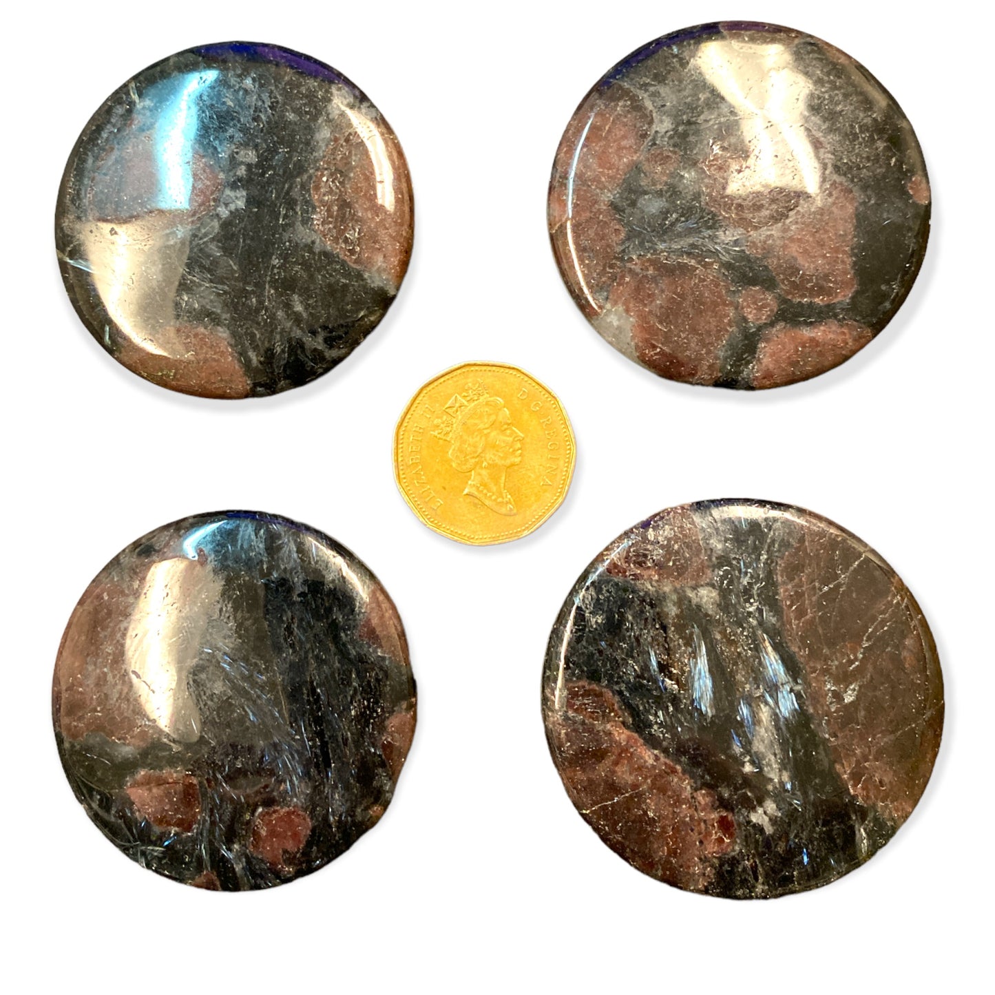 Astrophyllite Aka Firework Stone Polished Round Cabochons - mm - NEW1122