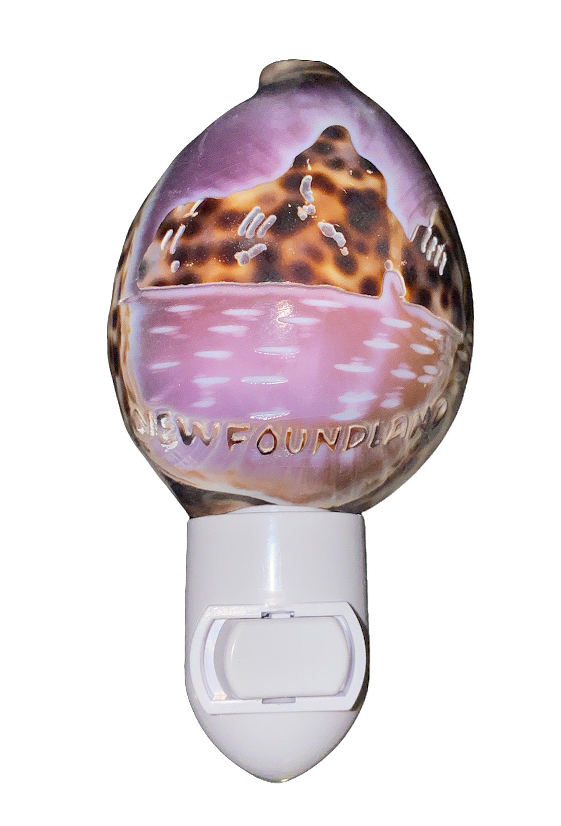 NEWFOUNDLAND ICEBERG COWRIE NIGHTLIGHT