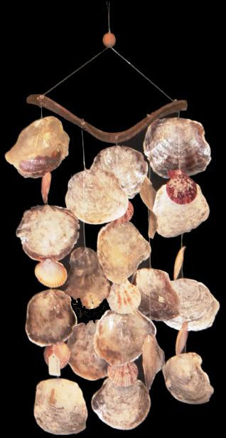 SADDLE & PECTEN SHELL CHIME on Vine 33 L x 12 wide