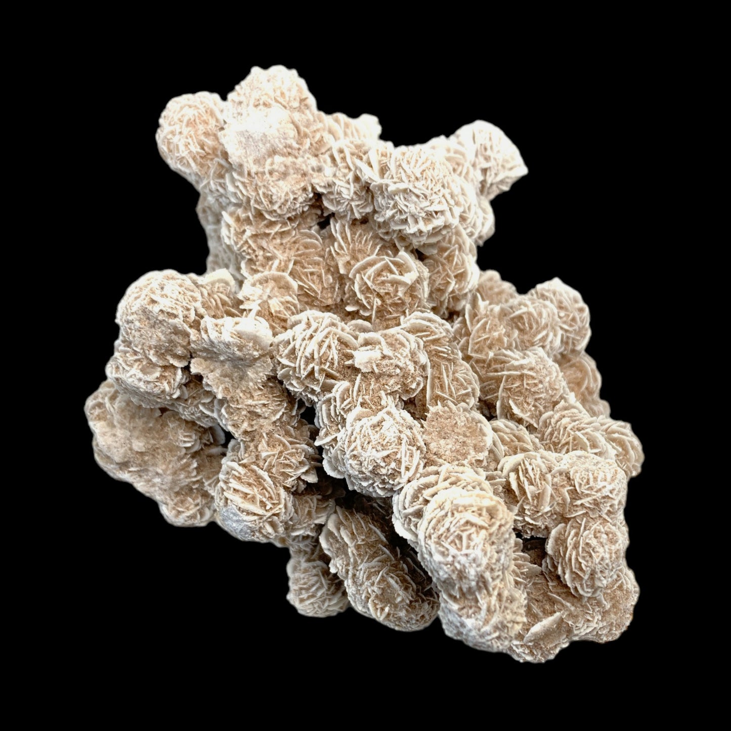 #1 Desert Rose Selenite Cluster - 527g - 5.5 inch - Morocco - Specimen 3