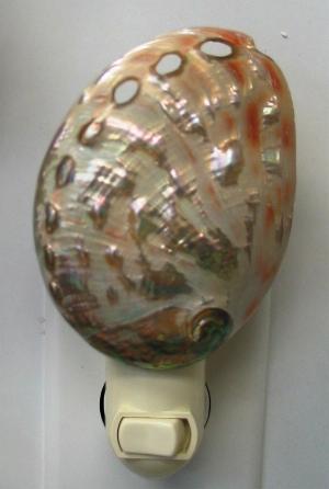 POLISHED MIDAE ABALONE NIGHTLIGHT