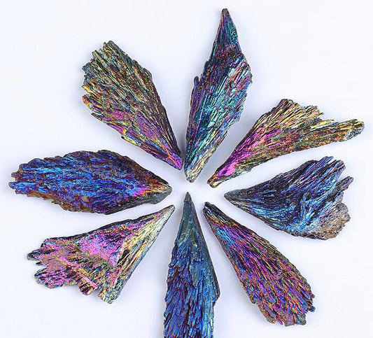 Black Kyanite Rainbow Aura Feathers Blades - Assorted Sizes - price per gram - China - NEW822