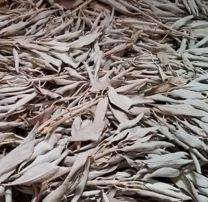 WHITE SAGE Loose Leaf  by the bag with Header (Not sold by weight 20 gram average) Smudge Supplies
