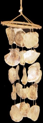 SADDLE SHELL CHIME 36 inch L x 10 inch Natural Top Ring