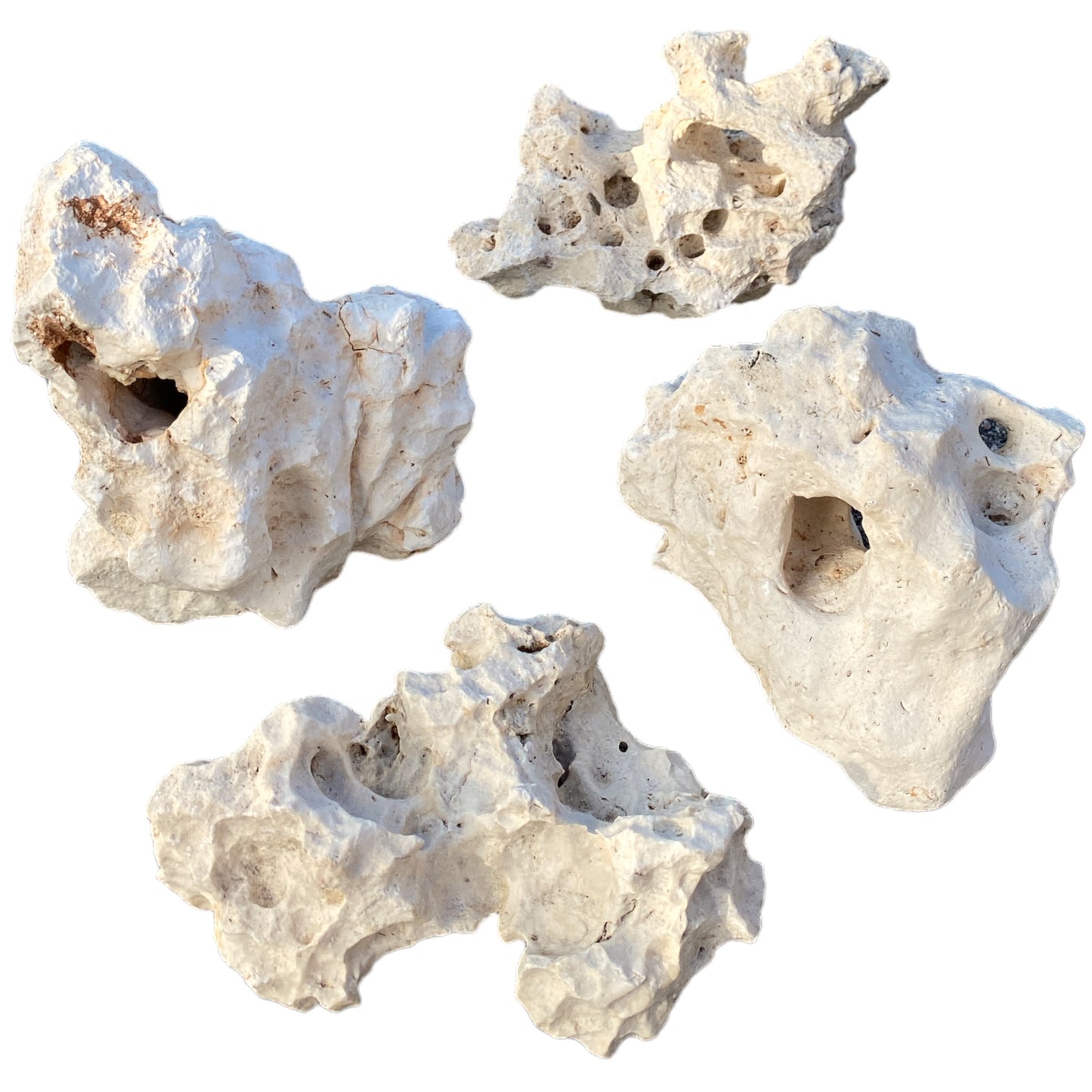 OCEANIC HOLEY Base ROCK STONE (Marco Rock Sound Rock) - 10 to 15 cm Medium - per lb. Grade A (Order in in multiples of 50) -