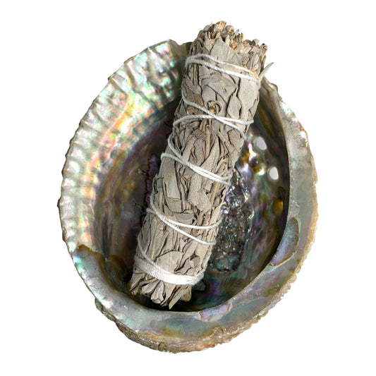 Smudge Kit - 4-5" inch Pink Abalone with 4 inch White Sage