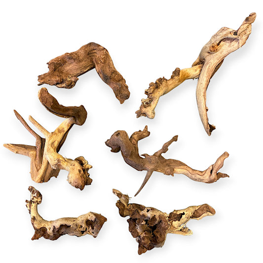 1lb. 4 to 11.75 inch - Mopani Driftwood (Coral wood) - Small 10 to 30cm - China - (Order quantity of pieces required. We will update the weight upon shipping.)