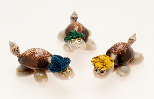 Mini COWRIE SHELL TURTLES with assorted  Colored Hats - Philippines - TOP Seller