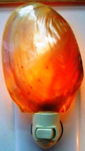 POLISHED PINK CLAM NIGHTLIGHT