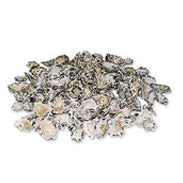 1 KG - Star Limpet Shells - 1 inch - Philippines