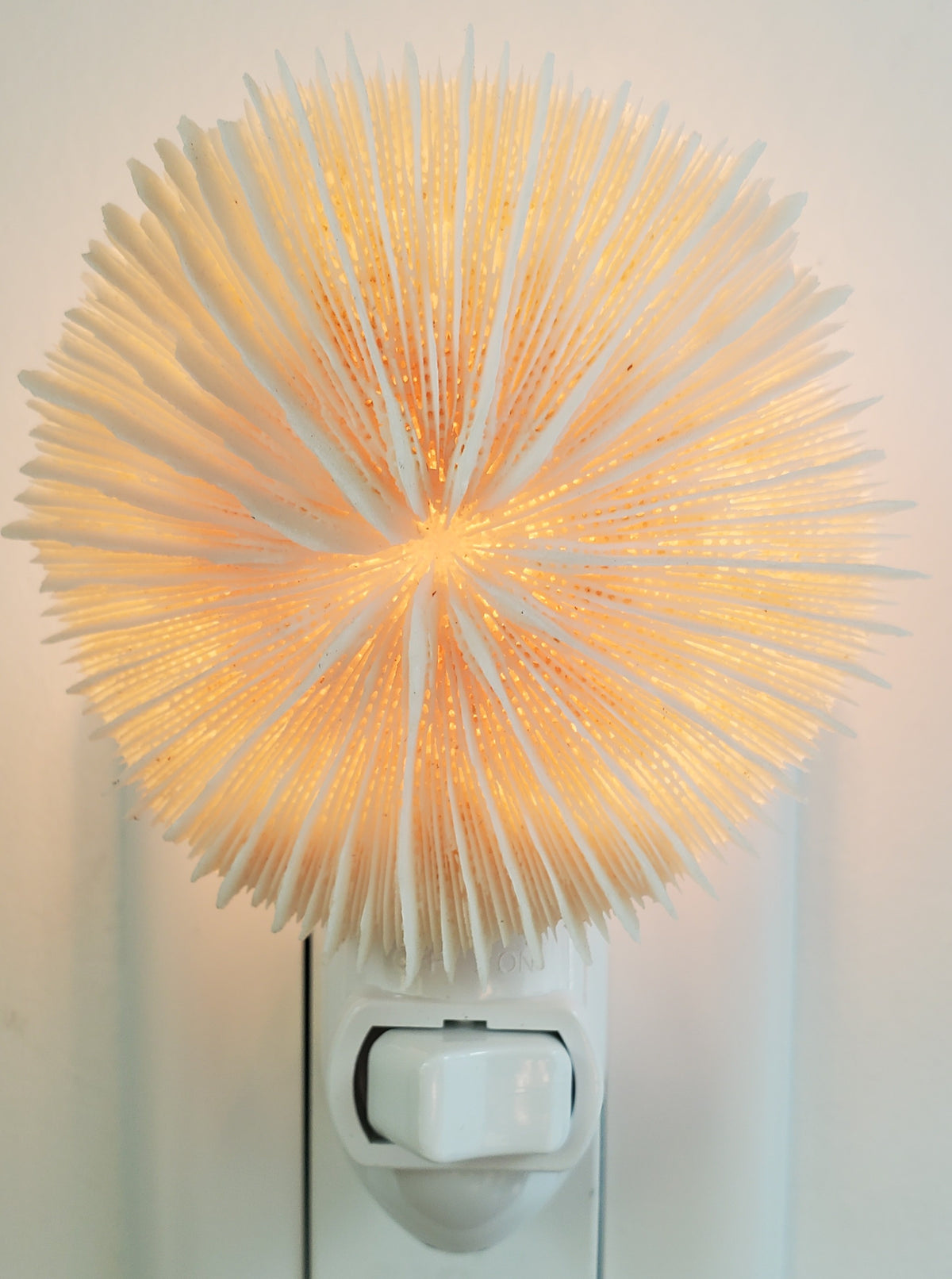 MUSHROOM CORAL NIGHTLIGHT 3 inch Seashell NIGHT LIGHT White fixture