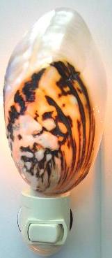 PEARL FROG MUSSEL NIGHTLIGHT