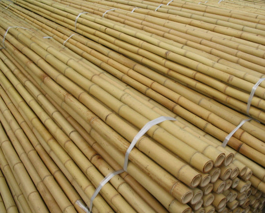 Bamboo Sticks 10' x 33 to 35 mm (25 per bundle sold by the each)