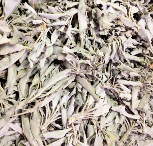 WHITE Sage Leaves - 1 lb Bag Sage Smudge Supplies