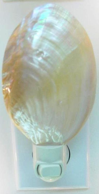 POLISHED WHITE WATER CLAM NIGHTLIGHT