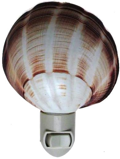 STRIPED VENUS MAXIMA SEASHELL NIGHTLIGHT