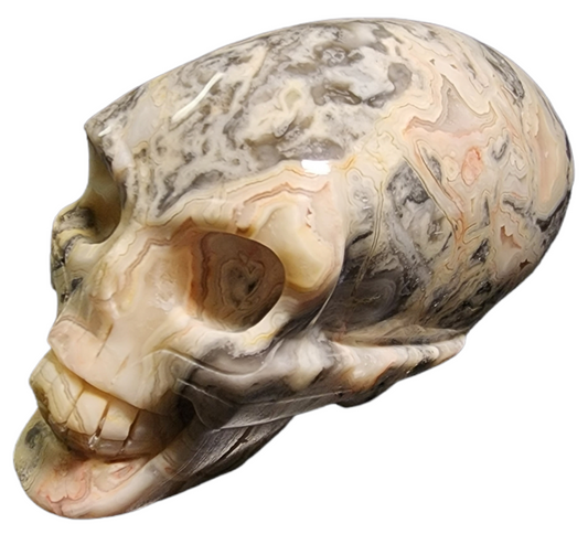 Alien Skull - Crazy Lace Agate - Medium 4.5 inch - Price per gram - China - NEW622