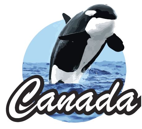 Sand dollar Ornament on String with ORCA CANADA Transfer - NEW422