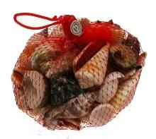 BARGAIN BAG-O-SHELLS in Red Netting - 300 grams - Philippines