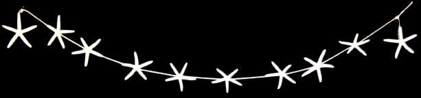 WHITE Finger SEASTAR GARLAND OF 5 x 80 inch long - Philippines