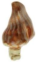 POLISHED ORANGE WHELK NIGHTLIGHT