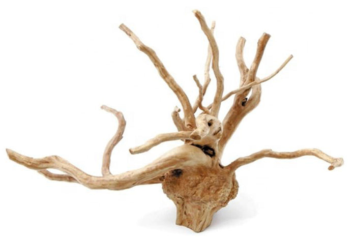 12 to 20 inch -1 lb. SPIDERWOOD DRIFTWOOD 30 to 50 cm - Assorted shapes and sizes  (Order quantity of pieces required. We will update the weight upon shipping.)