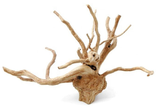 12 to 20 inch -1 lb. SPIDERWOOD DRIFTWOOD 30 to 50 cm - Assorted shapes and sizes  (Order quantity of pieces required. We will update the weight upon shipping.)