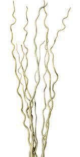 6 Foot Curly Willow Branches – Natural Decorative Twigs for Floor Vases, Wedding Decor & Floral Arrangements (1pc)