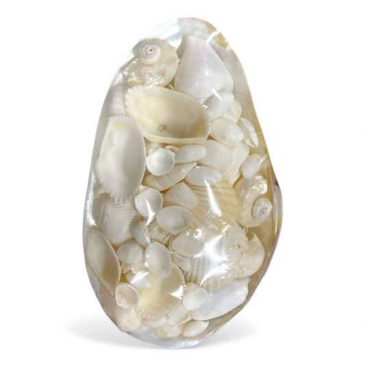 Polished RIVERCLAM SHELL PACK with all WHITE SHELLS 7 inches long - Philippines