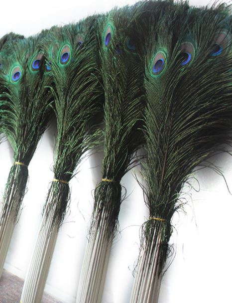 Peacock FEATHERS NATURAL 27 inch + 70cm +